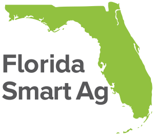 FLSA Logo 2 Vector